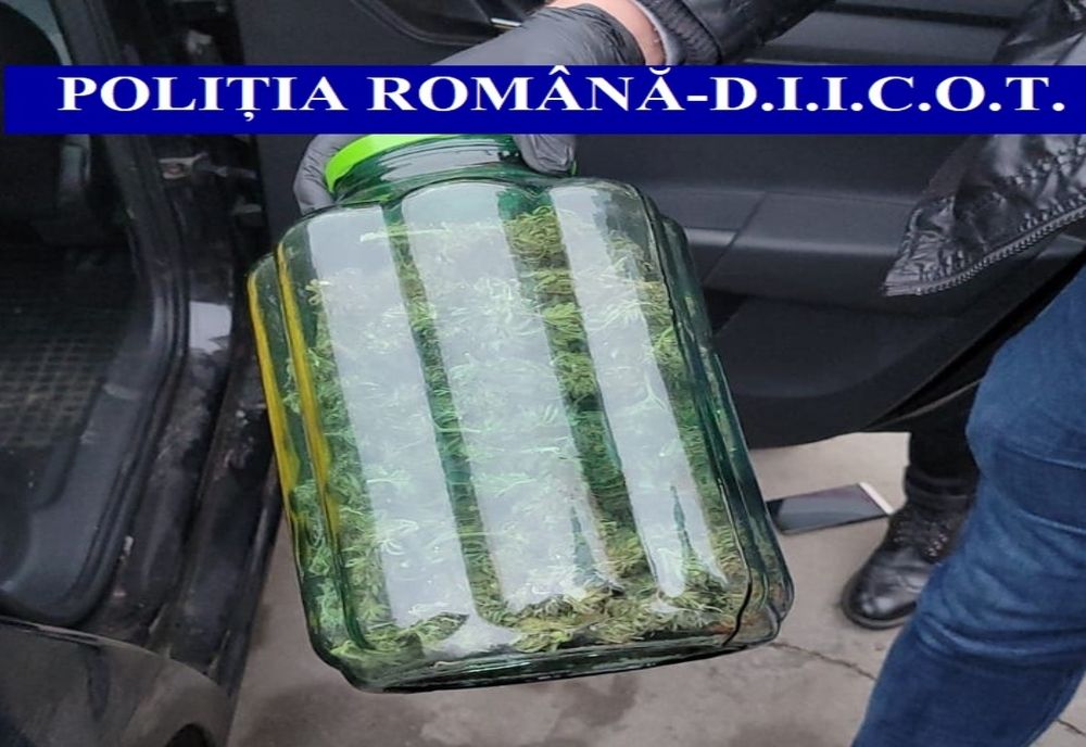 FOTO  Percheziții în Tulcea și Teleorman. Trei persoane arestate pentru trafic de droguri