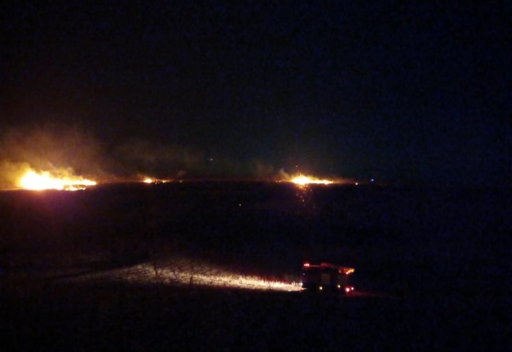 FOTO 10 hectare de vegetație uscată făcute scrum