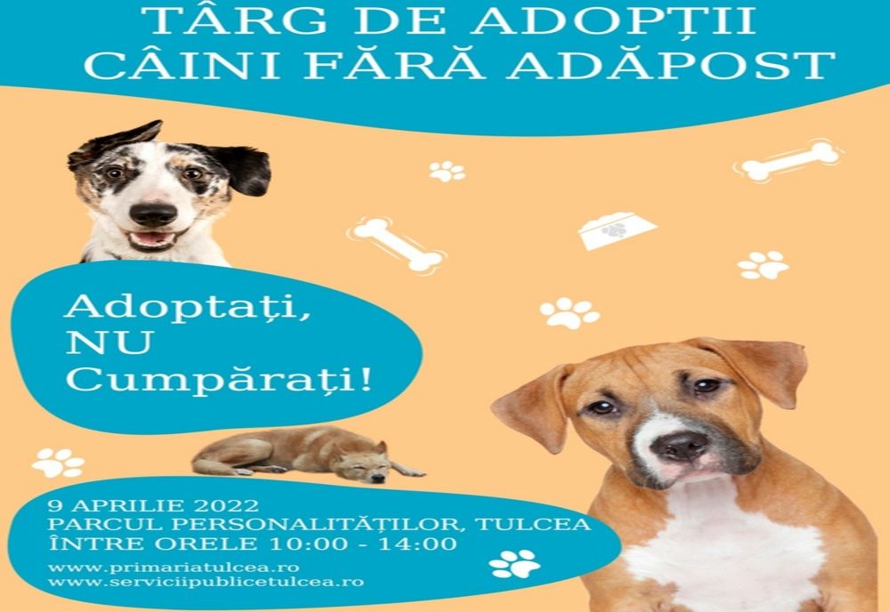Târg de Adopții câini fără adăpost