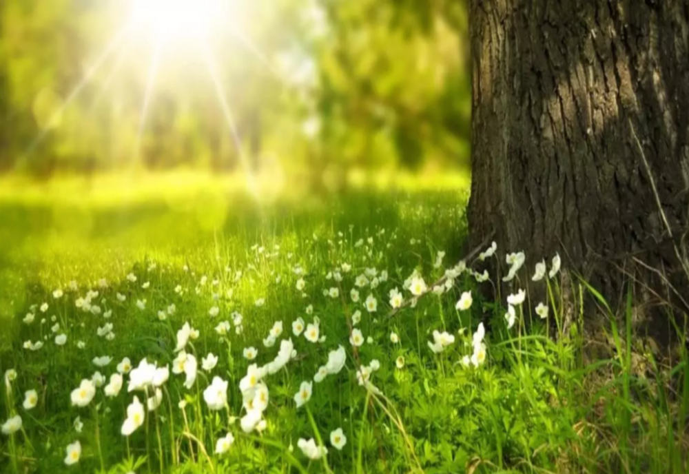 Vremea în următoarele două săptămâni: temperaturi caniculare în aproape toată țara - Când încep ploile