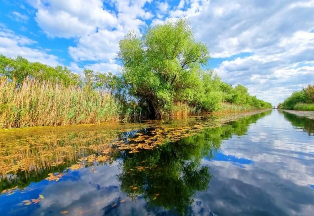 VIDEO FOTO Delta Dunării luată cu asalt de mii turiști în primele luni ale anului