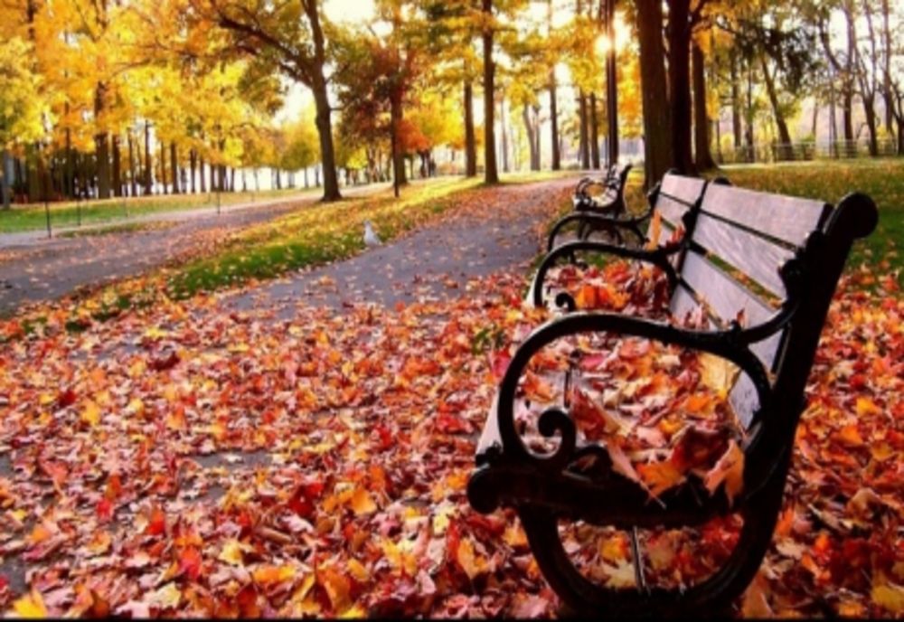 Weekend cu temperaturi mai ridicate. Unde vin ploile