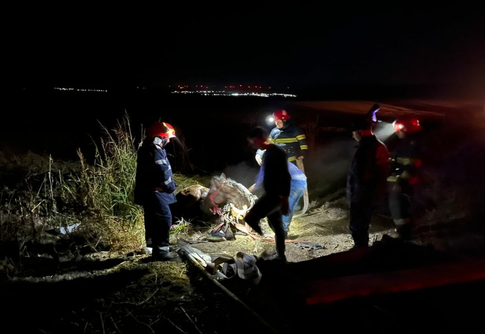 Intervenție neobișnuită pentru pompieri tulceni!