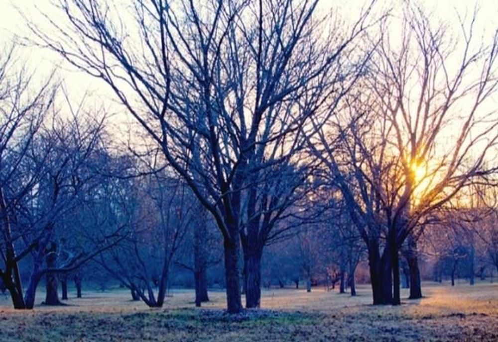 Cum va fi vremea de Ziua Națională 