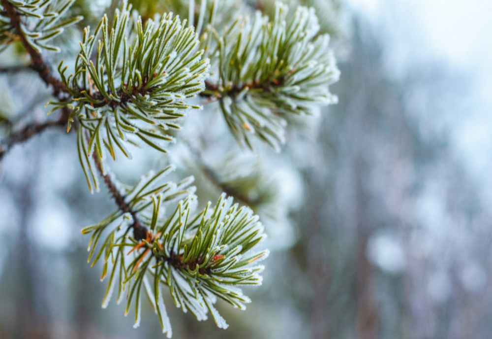 Astăzi temperaturile maxime se vor încadra între 2 şi 13 grade