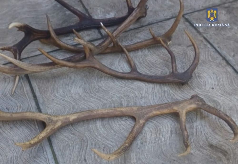 Tulcean cercetat de polițiști pentru nerespectarea regimului armelor și munițiilor și contrabandă 