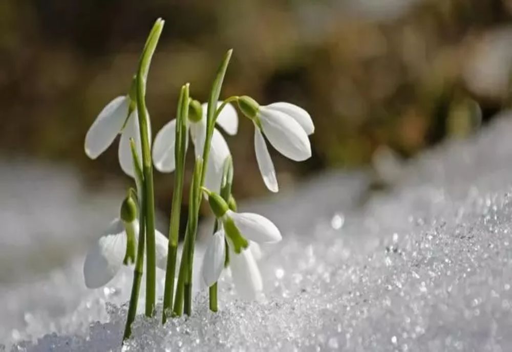 Temperaturi mult mai scăzute decât în mod obișnuit, astăzi