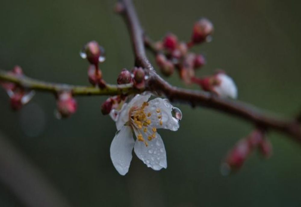 Prognoza meteo. Vremea în București și în țară