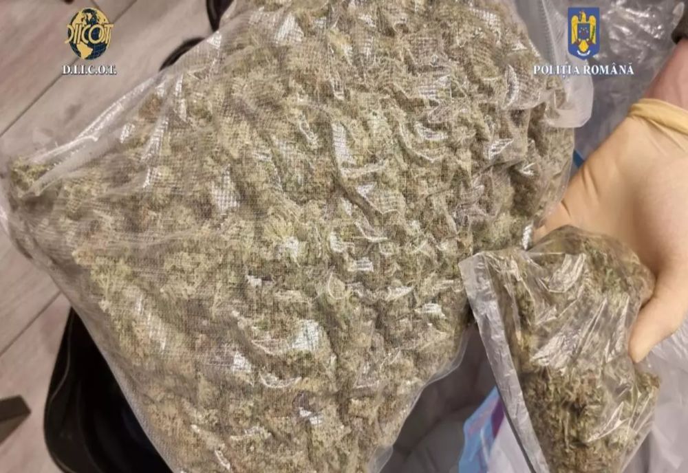 Cea mai mare piață online de distribuție droguri, unică în Europa, destructurată în România