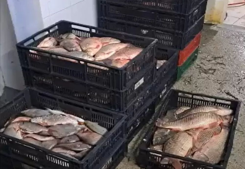 Protejarea fondului piscicol, în atenţia Poliţiei Române