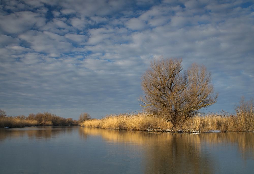 Două bărci pline cu turiști s-au ciocnit în Deltă! Un bărbat de 30 de ani este dat dispărut 