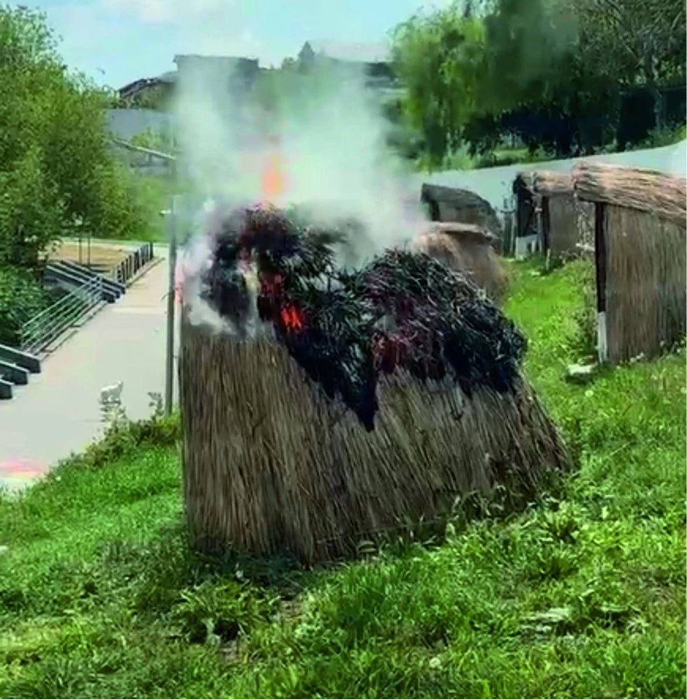 Patru tinere au incendiat un bungalou pe plaja din Ovidiu. Foto/Captură video