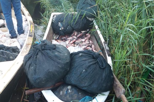 Peste 600 kg de pește și plase de pescuit cu fir textil, confiscate de polițiștii de frontieră