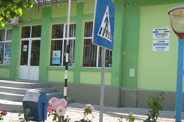 Pesta porcină africană, confirmată şi la Jurilovca