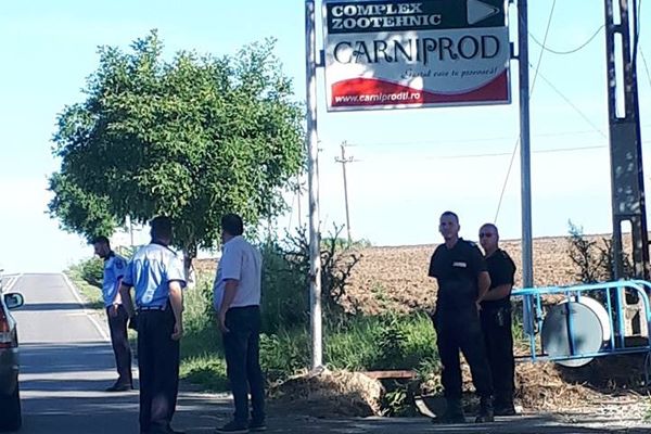 Un buldozer a intrat peste un SUV, in fața fermei Carniprod. Buldozeristul era beat și a fugit de la locul faptei