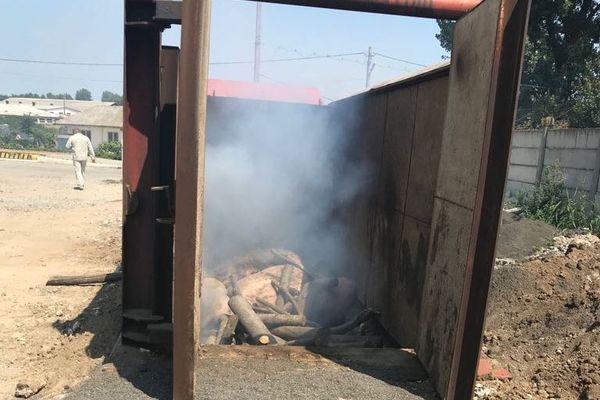 Complexul de porci de la Carniprod - lichidat!