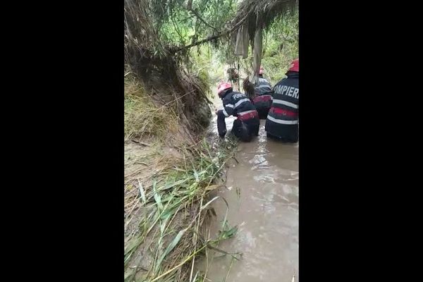 Doi copii de 3 şi 7 ani şi bunica lor au murit luaţi de viitură, la Măgurele. Bunicul este încă dat dispărut