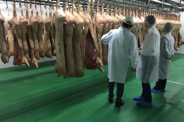 Deputatul european Siegfried Mureșan: "Am cerut 110 milioane de euro pentru pestă porcină în bugetul UE din 2019"