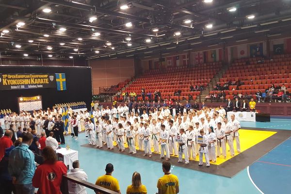 Tulceanul Adrian Militaru este noul campion european la "Open European Championship Kyokushin Karate” din Suedia