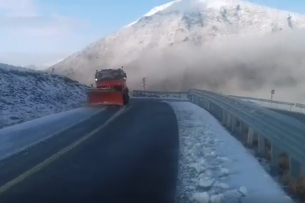 Dublu vernisaj la Centrul Muzeal Ecoturistic Delta Dunării