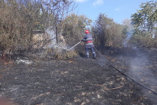 Trei case au fost la un pas să ia foc, din cauza unui incendiu de vegetaţie