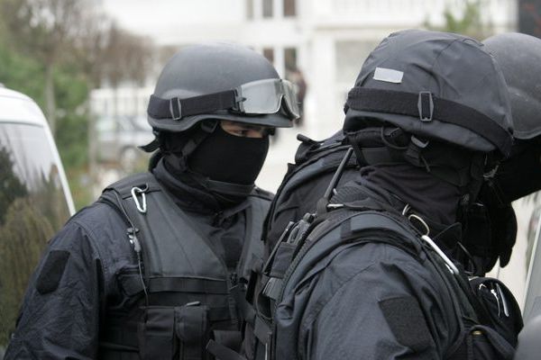 Mascaţii  şi "economicu'" au descins la Agrodelta Sireasa. Afacerea lui Traian Rece, suspectă de spălare de bani