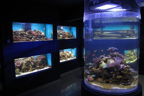 ICEM a modificat de azi programul de vizitare la câteva obiective