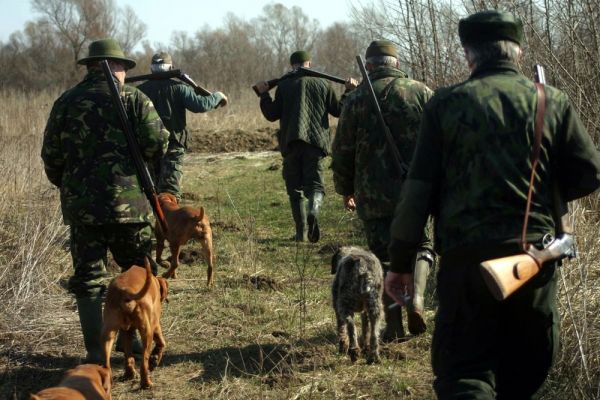 Luni începe vânătoarea în deltă la mistreț și șacal