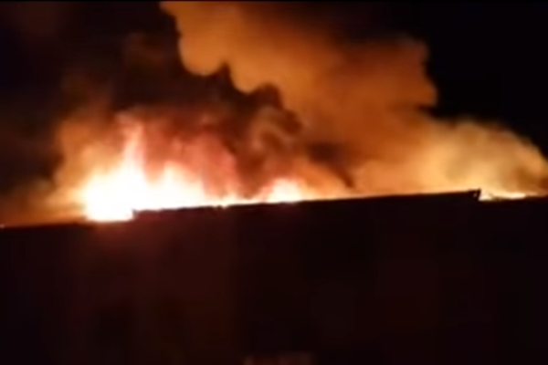 Jandarm tulcean decorat cu Brevetul Emblema de Onoare  a MAI