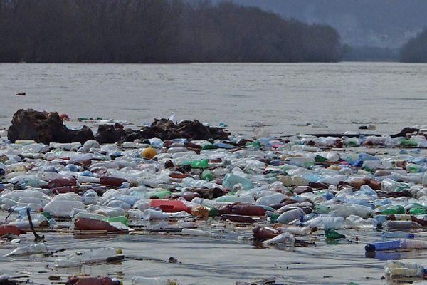 Încă un proiect de lege al deputatului Lucian Simion a fost adoptat - Gunoi menajer mai ieftin cu 50% în Delta Dunării!