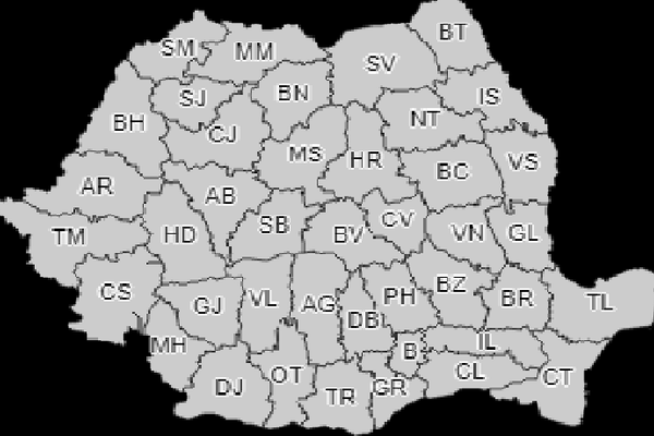 Drumul din pădurea Topolog a fost degajat după trei ore. Acum se circulă normal