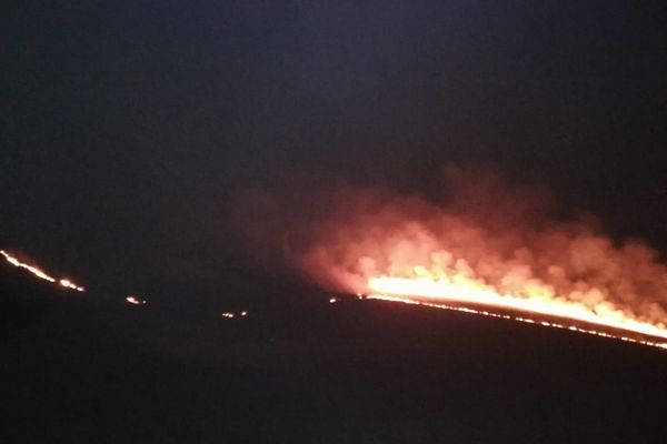 Ard 15 hectare de vegetație lângă parcul eolian Agighiol. Pompierii au mai trimis două autospeciale