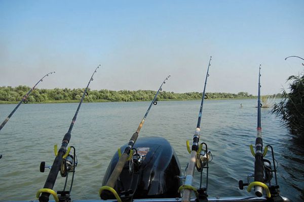 Noi reguli pentru pescuitul sportiv în Delta Dunării pentru 2019