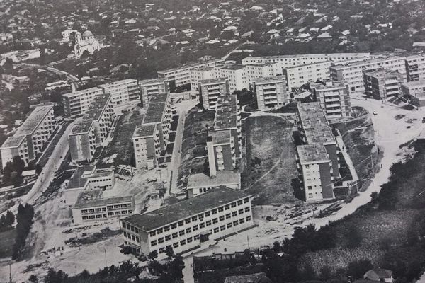 Un tulcean acuză Primăria de furt! "Nu există nicio cerere scrisă!" - spun cei din primărie...