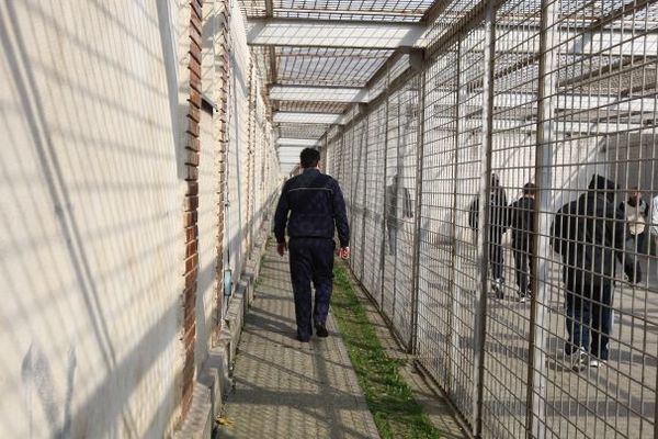 AJF dă startul ediţiei a V-a a Cupei Hagi