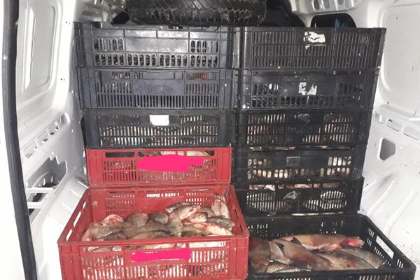 Captură record a poliţiştilor - o jumătate de tonă de pește proaspăt