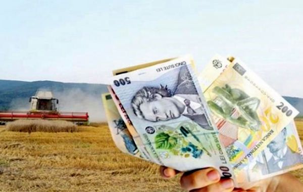 Fermierii vor depune la APIA o singură Cerere de Plată