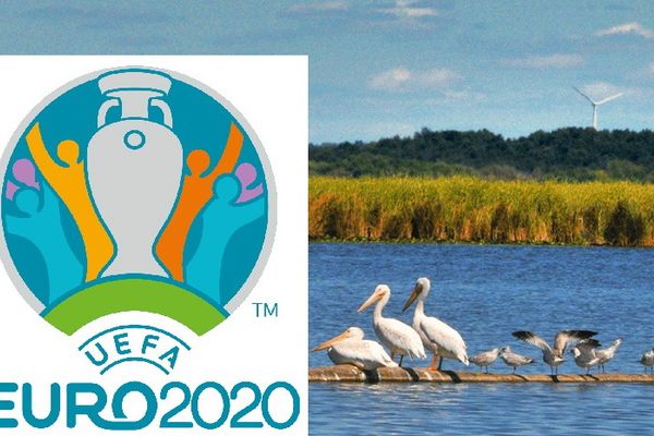 Agenţiile şi-au pregătit oferte care includ judeţul Tulcea, pentru momentul "Euro 2020"