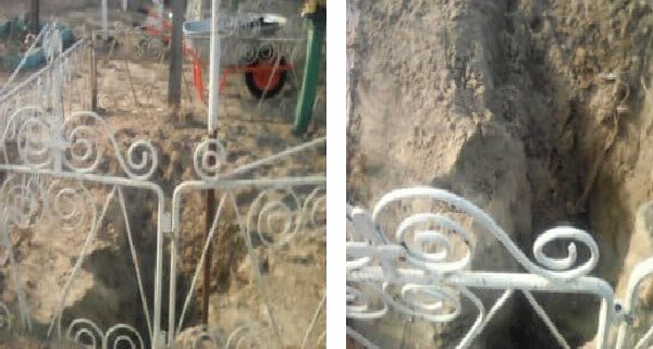 Scenarii horror la Caraorman, în Delta Dunării. Şacalii dezgroapă morţii din cimitir!