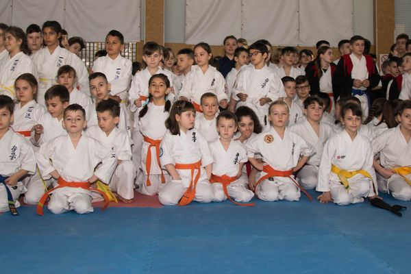O duzină de medalii de aur pentru Nippon Budo Sport la Cupa Moldovei