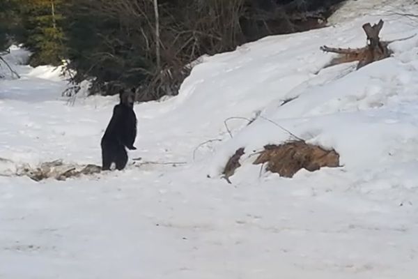 Două copile de 15 ani, căzute în cariera Bididia, salvate de alpiniştii salvatori ai ISU Tulcea