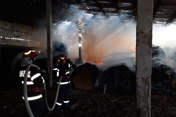 Şase ore de infern! Incendiu de amploare la Smârdan. Au ars 150 de baloţi mari de lucernă.