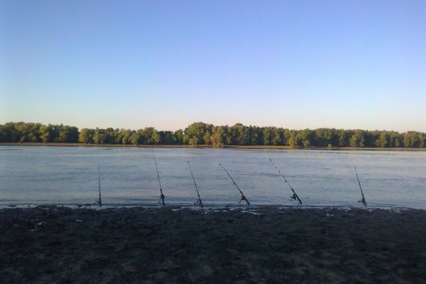 De mâine gata cu pescuitul! Începe perioada de prohibiție generală