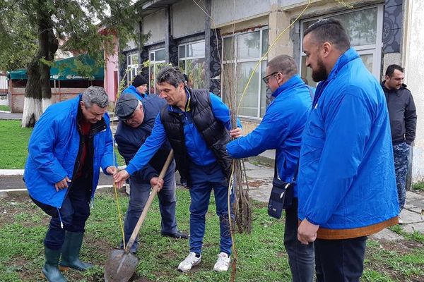 ALDE Tulcea a intrat în campanie. De împăduriri...