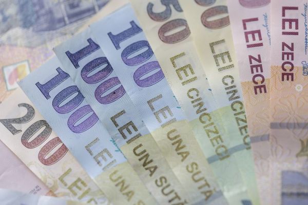 Stimulente pentru angajarea elevilor şi studenţilor pe perioada vacanţei