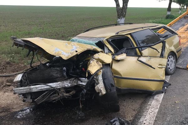 Mașină distrusă după ce a retezat un copac