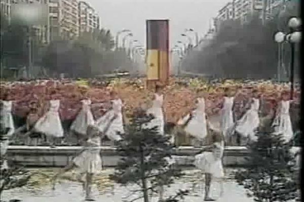 Tineri spărgători filmaţi în cartierul tulcean Vest în timp ce operau. Deja poliţiştii îi caută... (video)