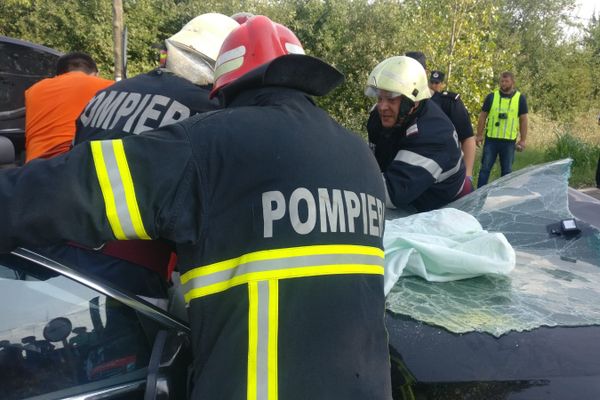 IJSU Tulcea - Raport pe primele șase luni ale anului. Statistici interesante