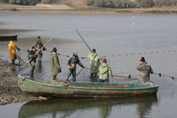 Ultimă oră: Pescuitul comercial se reia de luni, 10 iunie cu actele de reglementare din 2018