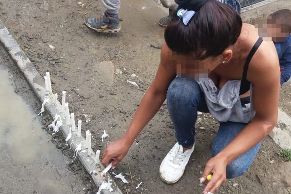 Începe Pelicam, cel mai verde festival de film din România